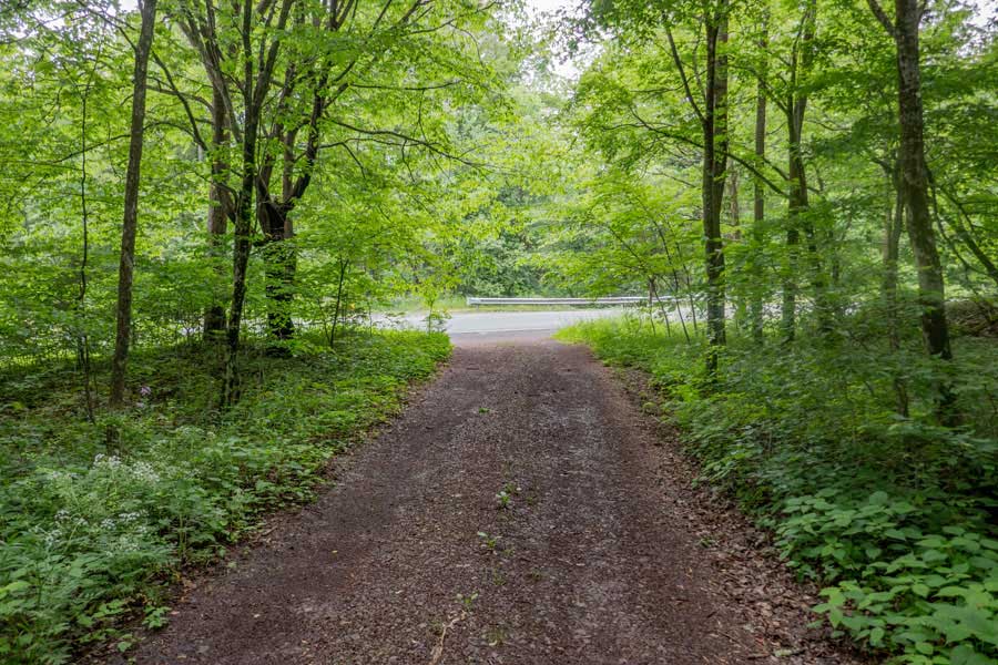 End of the DEC access road in Kelly Hollow