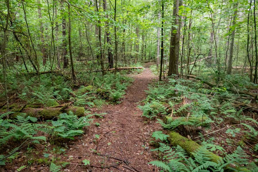 Kelly Hollow PA Trail