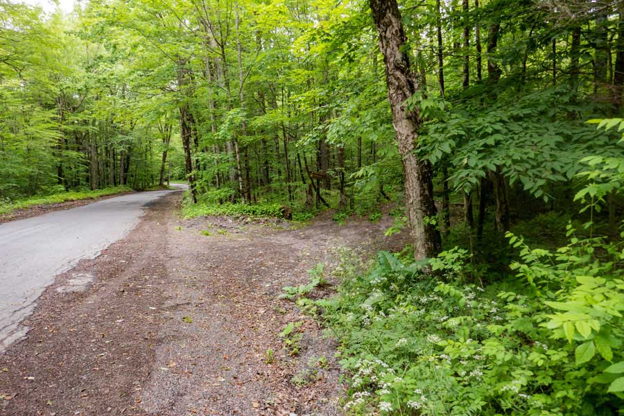 Mill Brook Road and trailhead to the Mill Brook Lean-to