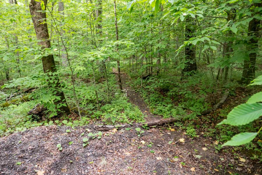 Trailhead for the Mill Brook Lean-to