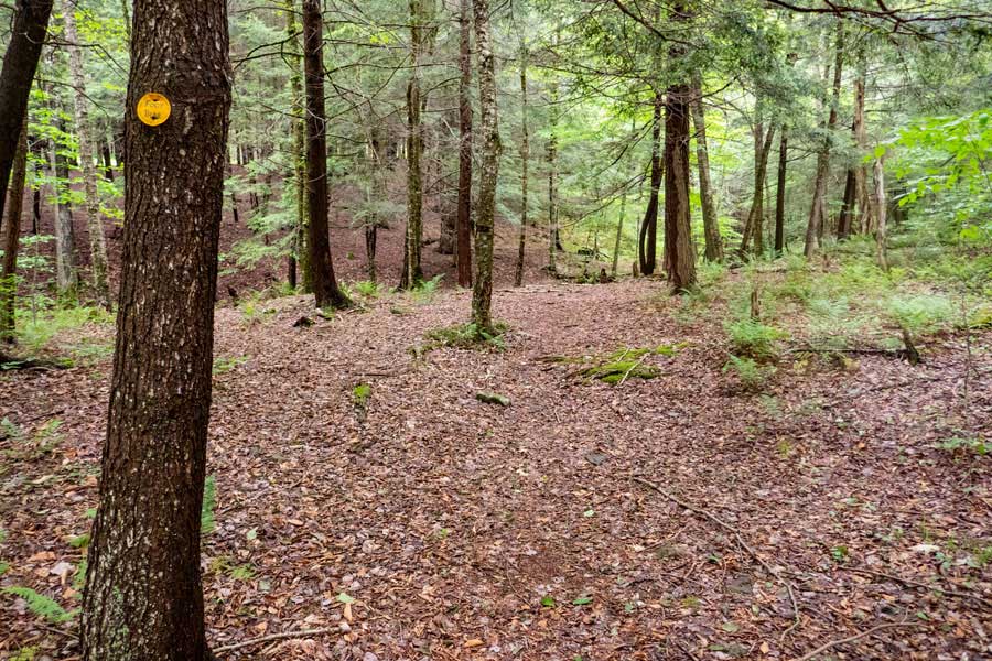 Trail turns to the west to cross the stream.