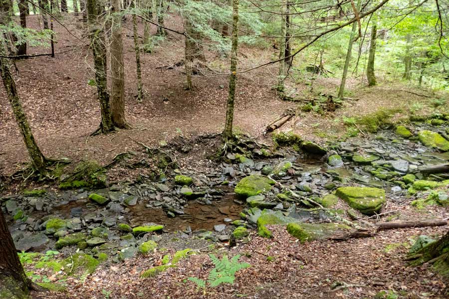 Cross the stream, and hike up the hill to the mill brook lean-to