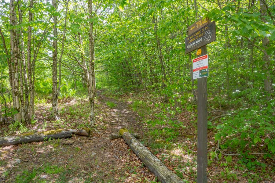 Neversink-HardenburghTrailhead