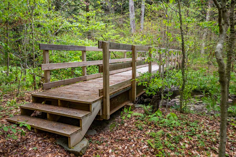 Bridge over The Gulf of Mexico Brook on the Neversink-HardenburghTrail