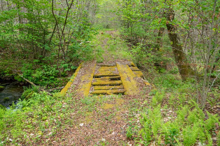 rotting bridge on the Neversink-HardenburghTrail