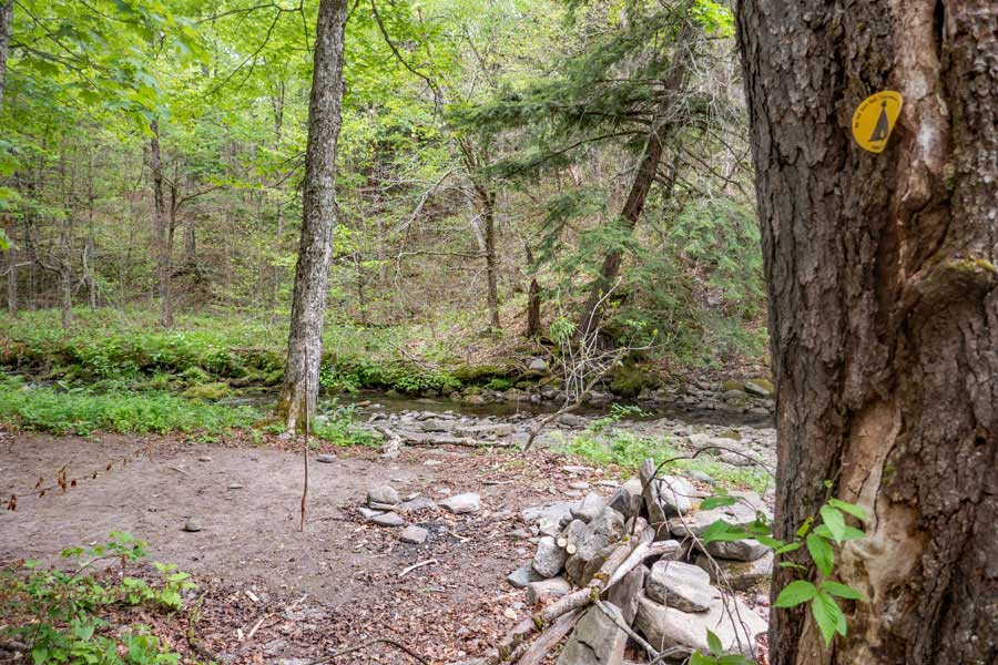 campsite off the trail next to the Beaver Kill Brook