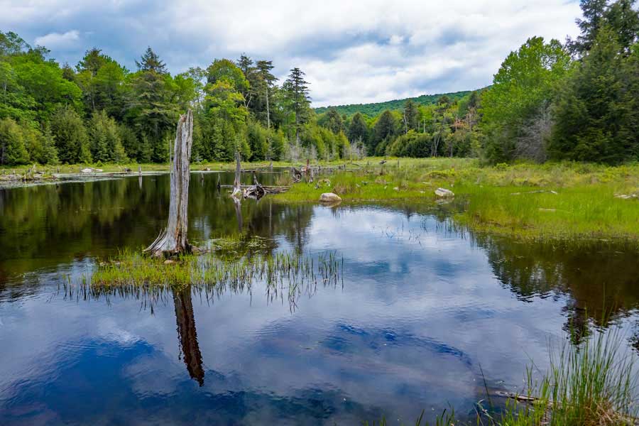 side road to Tunis Pond off the Neversink-HardenburghTrail