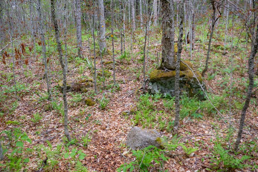 new trail returning to the old trail on the Neversink-HardenburghTrail