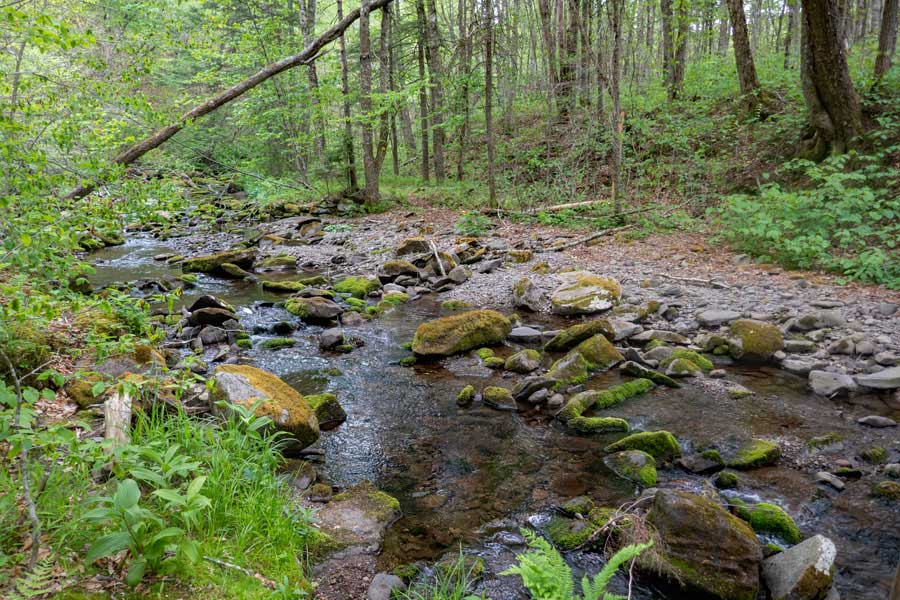 crossing Beaver Kill Brook