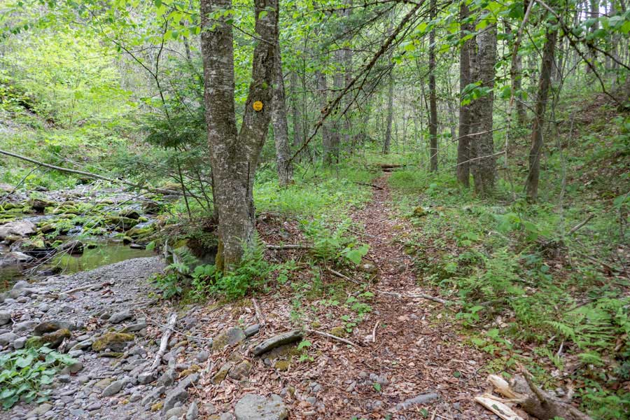 the Neversink-HardenburghTrail continues on the other side of the Beaver Kill Brook