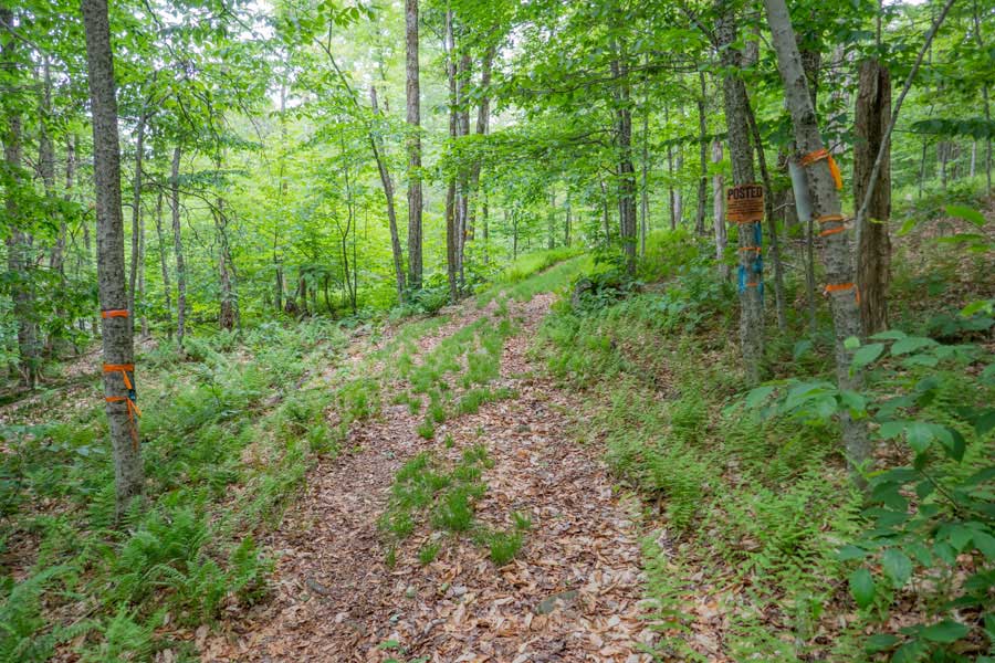 trailhead for the Neversink-HardenburghTrail in the Big Indian Wilderness