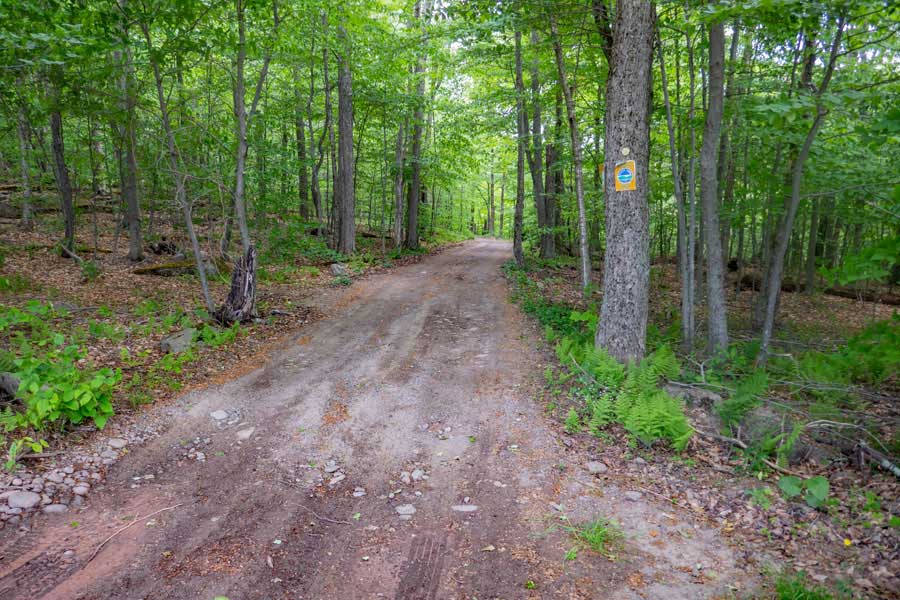 end of the dirt section of Wild Meadow Road