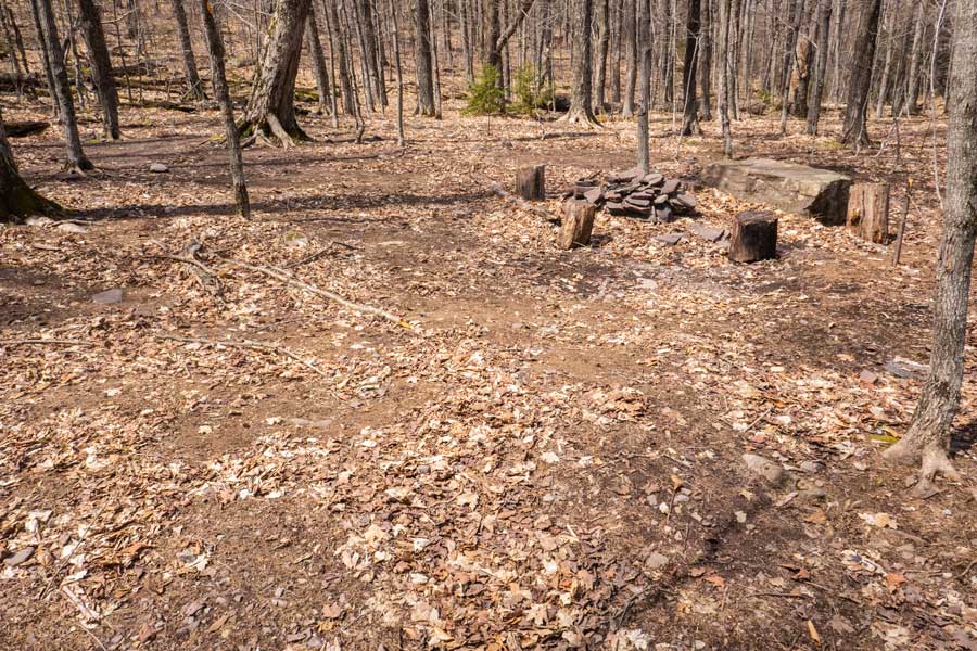 Batavia Kill large campsite