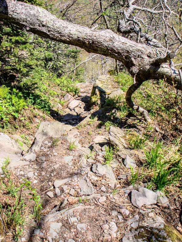 steep section of the northeast side of Blackhead Mountain