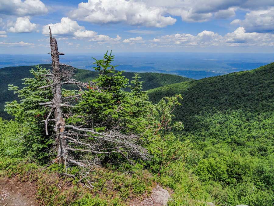 view point from the eastern side of Black Dome Mountain
