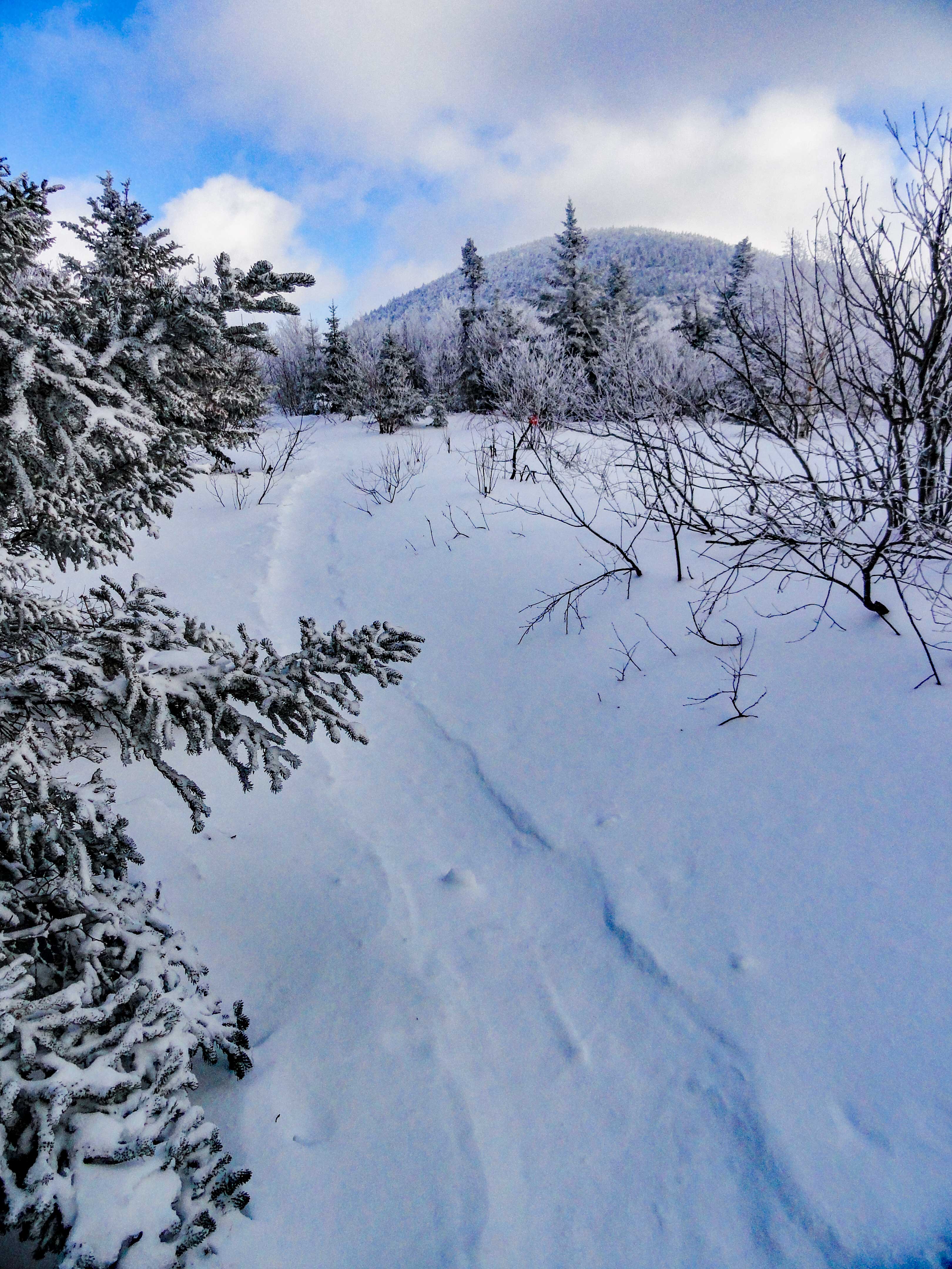 camel's hump in the winter