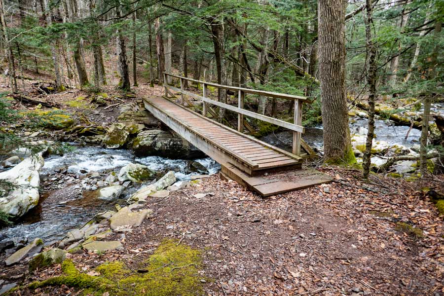 Wooden bridge #1 over the Batavia Kill Creek