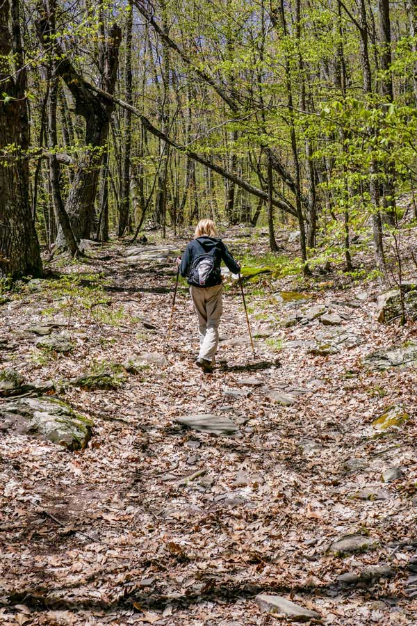 muddy section of the escarpment trail near Rt 23