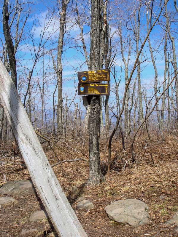 trail junction for the Escarpment Trail and Black Dome Ridge Trail