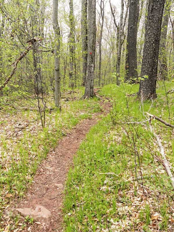 trail near the top of the Black Dome Ridge Trail
