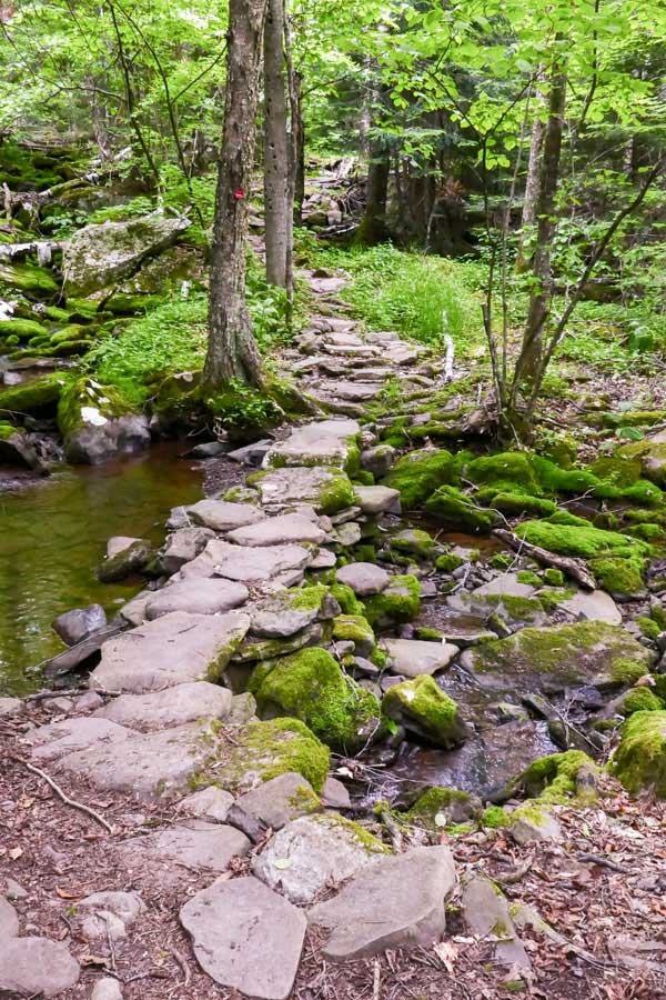crossing the tributary to the Batavia Kill Creek