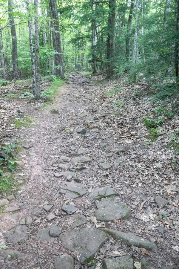 beginning of the Elm Ridge Trail from Peck Road