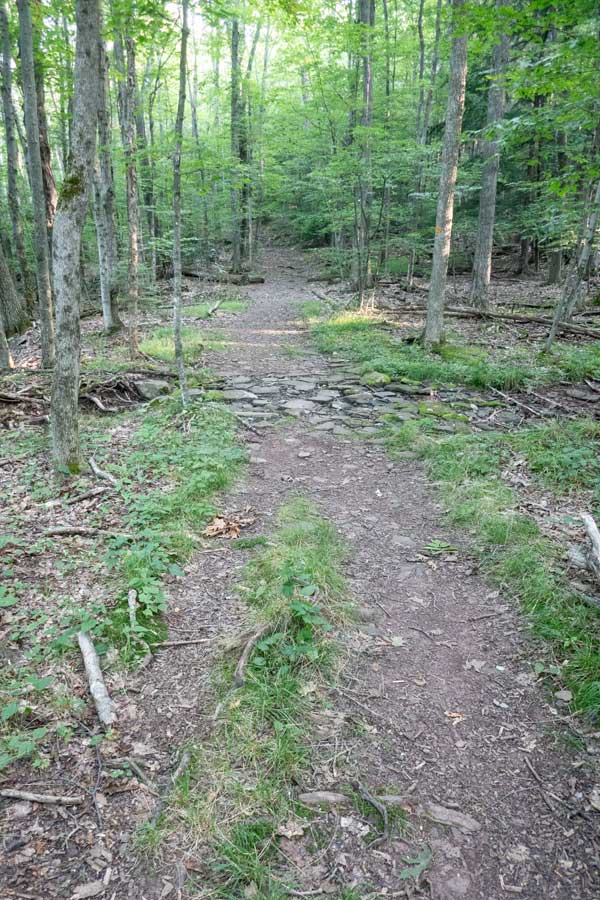 most of the Elm Ridge Trail is fairly flat.