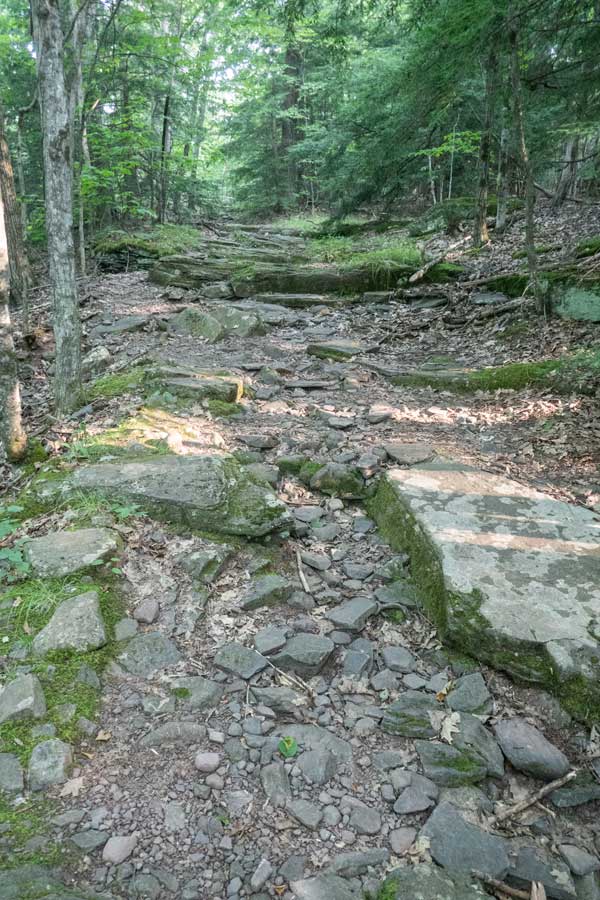 some elevation gain on the Elm Ridge Trail