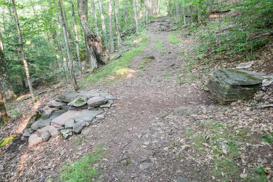 water source spring on the Elm Ridge Trail
