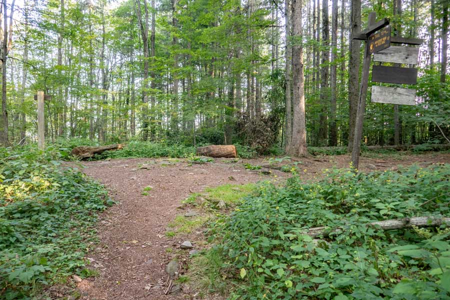 Trail Junction of the Elm Ridge TRail and the Escarpment Trail on Elm Ridge