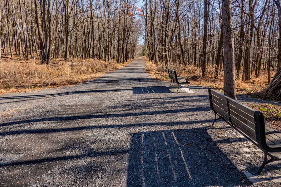 Park benches on the Ashokan Rail Trail  