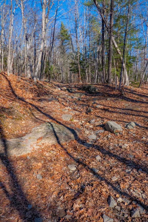 Trail around the Onteoroa Lake of the Bluestone Wild Forest