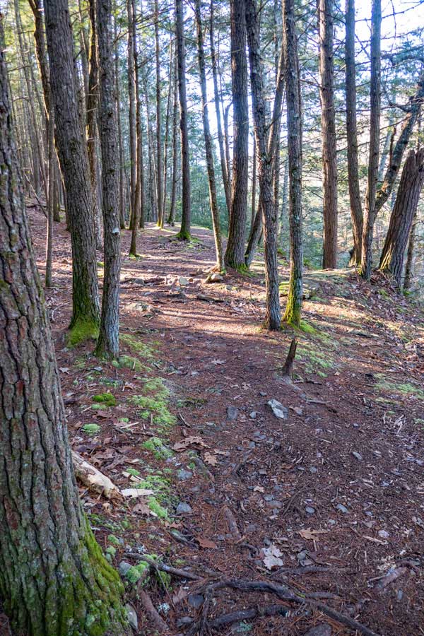 Trail Head into the Lakes Region of the Bluestone Wild Forest