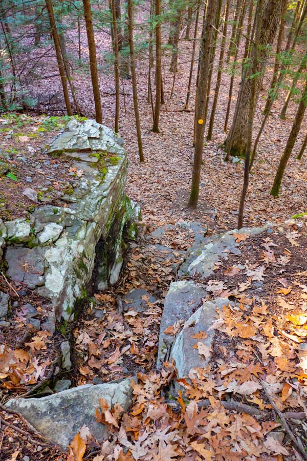 Trail around the Onteoroa Lake of the Bluestone Wild Forest
