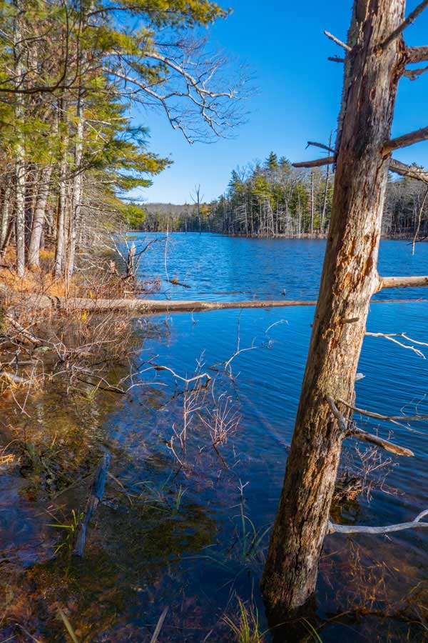 pickerel pond into the Lakes Region of the Bluestone Wild Forest