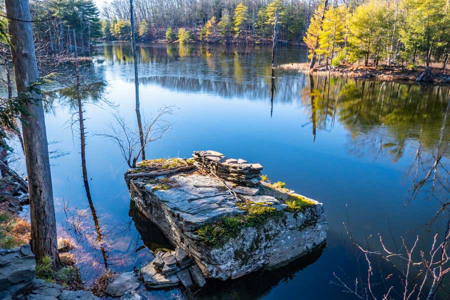 middle section of pickerel pond in the bluestone wild forest