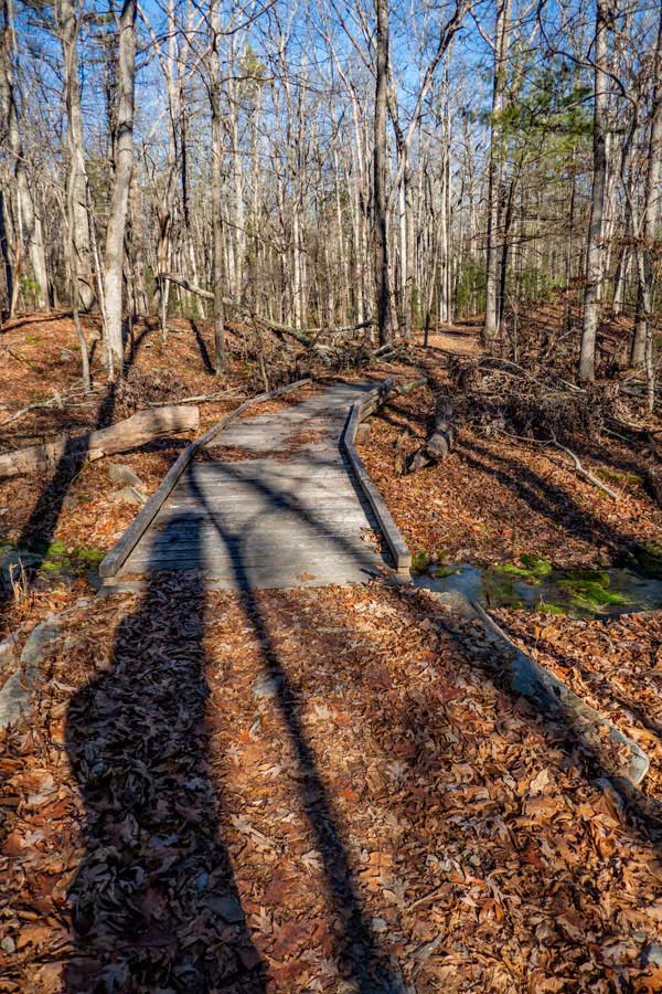 Turnpike Trail the Lakes Region of the Bluestone Wild Forest