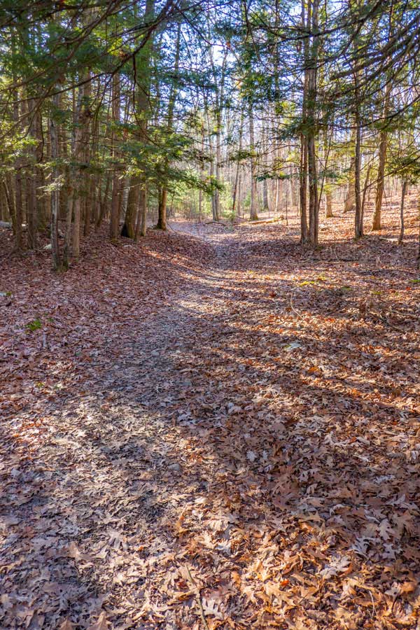 Turnpike Trail the Lakes Region of the Bluestone Wild Forest