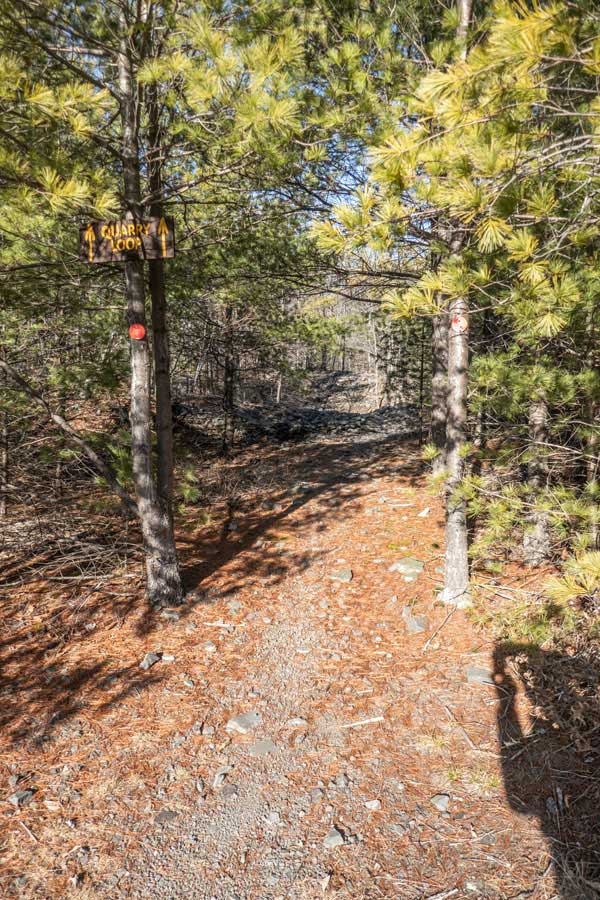 Quarry Trail the Lakes Region of the Bluestone Wild Forest