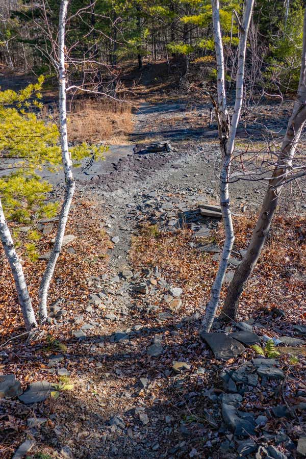 Trail around the Onteoroa Lake of the Bluestone Wild Forest