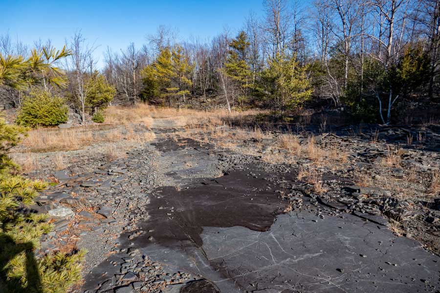 A small section of the huge bluestone slabs that can be seen on the Quarry Trail in the Lakes Region of Bluestone Wild Forest