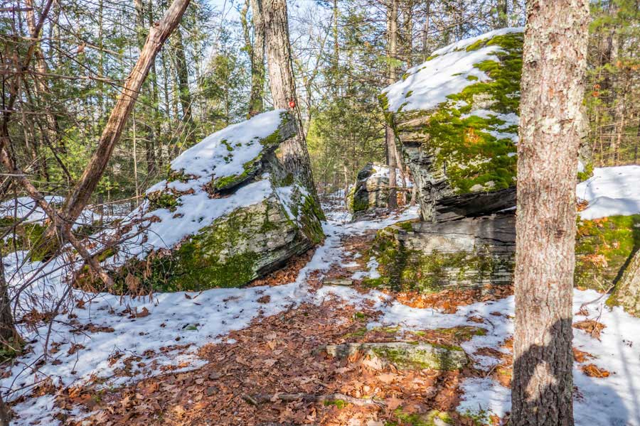 unique section of the Red Elf Trail in the Lakes Region of Bluestone Wild Forest