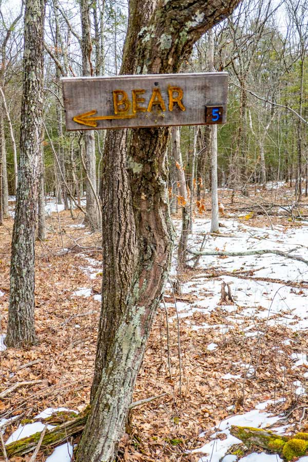 signs for the Bear Trail the Wintergreen Region of the  Bluestone Wild Forest