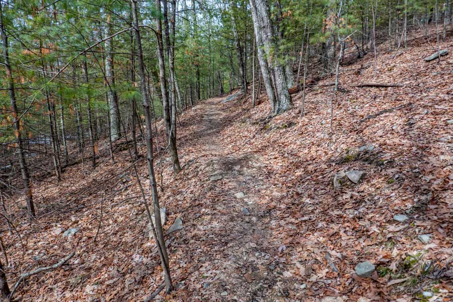climb up the hill to the junction of Wintergreen Trail in the Wintergreen Region of Bluestone Wild Forest