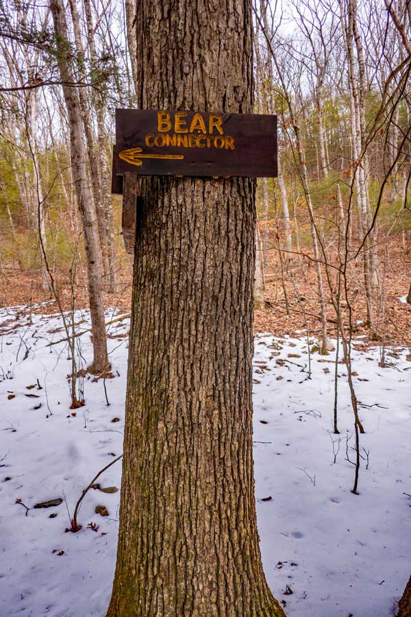 signs for the Bear Connector Trail the Wintergreen Region of the  Bluestone Wild Forest
