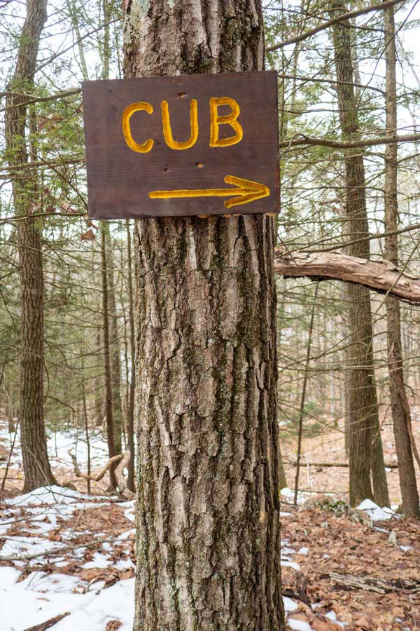 sign for the Cub Trail the Wintergreen Region of the  Bluestone Wild Forest