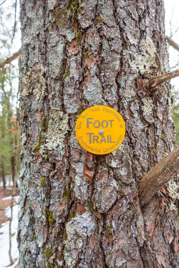 Improper Trail Markers on the quility trail in the Wintergreen Region of Bluestone Wild Forest