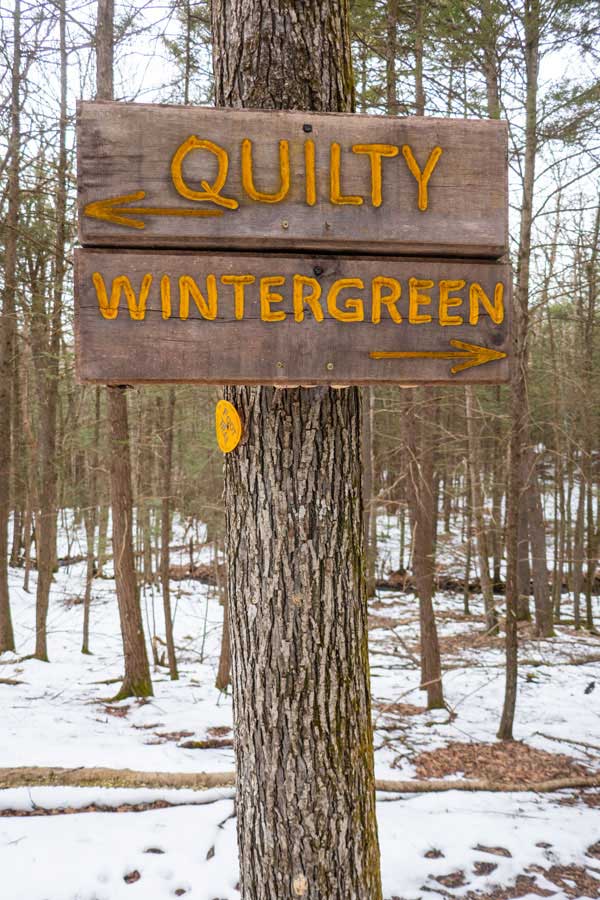 signs for the Quilty Trail the Wintergreen Region of the  Bluestone Wild Forest