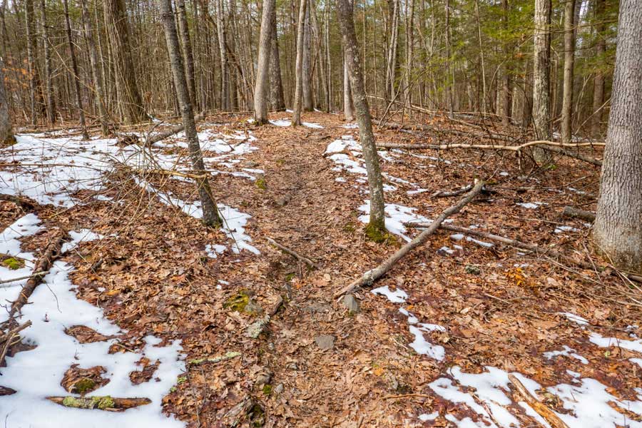 beginning of the Quilty Trail in the Wintergreen Region of Bluestone Wild Forest
