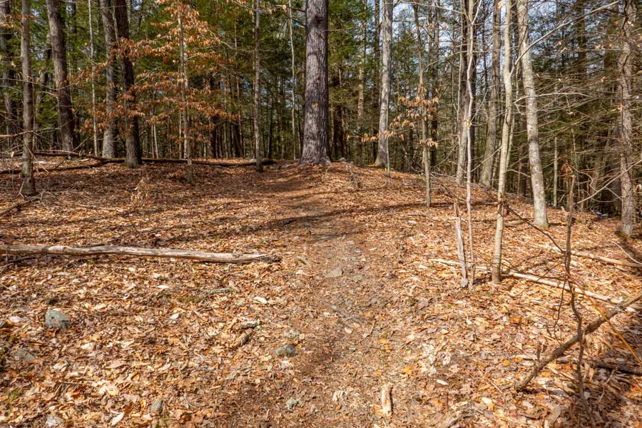 Quilty Trail and creek in the Wintergreen Region of the  Bluestone Wild Forest